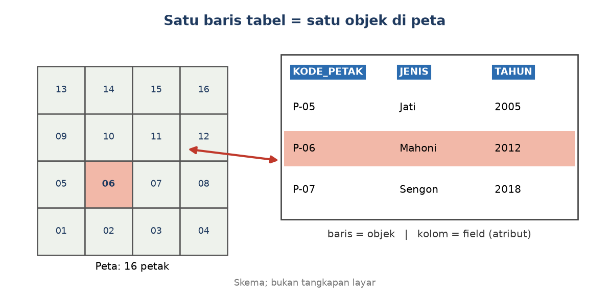 Skema: satu baris tabel sama dengan satu petak di peta, kolom sama dengan field