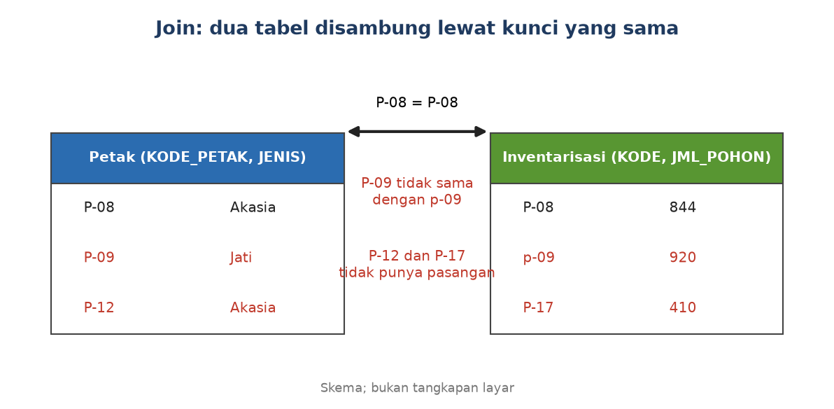 Skema: tabel petak dan tabel inventarisasi disambung lewat kode petak, dengan P-09 dan P-12 tanpa pasangan