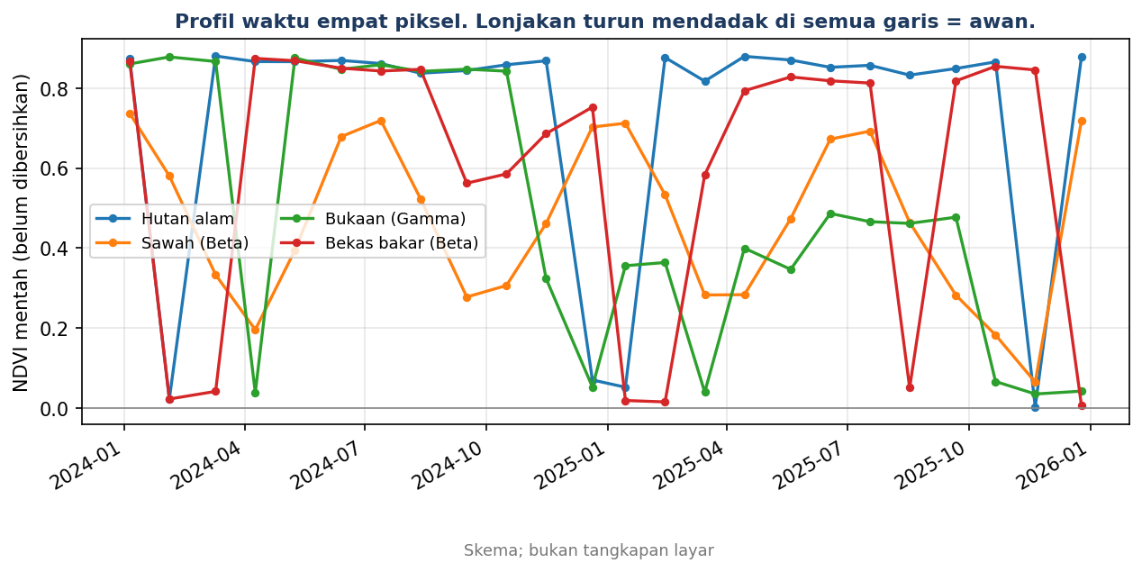 Empat piksel berbeda sepanjang 24 tanggal; lonjakan turun mendadak di semua garis adalah awan